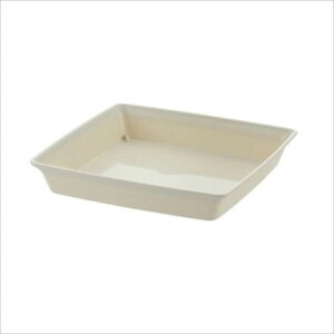 y16܂ |Cg10{zb`F tH[XNGAv[g8 WH 4945680715171 |pi K[fjOpi 󂯎M M v[g