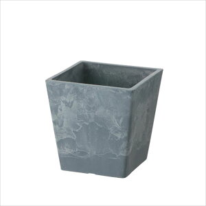 y16܂ |Cg10{zb`F {^j[ XNGA|bg 10^ BL 4945680716314 |pi K[fjOpi Aؔ 