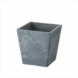 y16܂ |Cg10{zb`F {^j[ XNGA|bg 12^ BL 4945680716345 |pi K[fjOpi Aؔ 