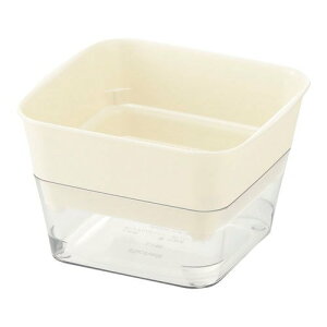 y112020`25܂ |Cgő10{zb`F XvEgt@[12^N IV AC{[ 4973655705018 ͔| ƒ؉ c͔| ͔|