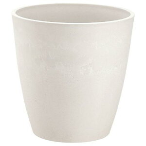 y101~31܂ Gg[Ń|Cgő10{zb`F {^j[nC|bg 30^ zCg WH 4973655731635 |pi K[fjOpi Aؔ 