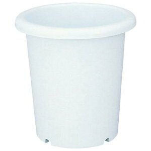 y101~31܂ Gg[Ń|Cgő10{zb`F  7 zCg |pi K[fjO Aؔ vX`bN Vv x[VbN