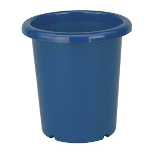 y16܂ |Cg10{zb`F  10 u[ |pi K[fjO Aؔ vX`bN Vv x[VbN {