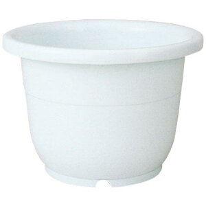 y101~31܂ Gg[Ń|Cgő10{zb`F ֔ 8 zCg |pi K[fjO Aؔ vX`bN Vv x[VbN {