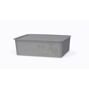 yX[p[Z[Ԓ 10%OFFzщ ~bL[}EX XNGABOX R GY O[ 4904121343298 [ fBYj[