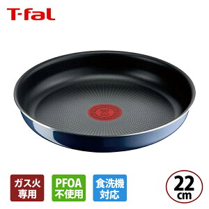 y101~31܂ Gg[Ń|Cgő10{zeBt@[ CWjIElI Cu[ECeX tCp22cm 3168430322295 KXΐpEIH s T-fal