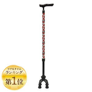 y112020`25܂ |Cgő10{z쏊 A~MIXl_X[ BK 4945528078420 XebL  4_ ԕ 