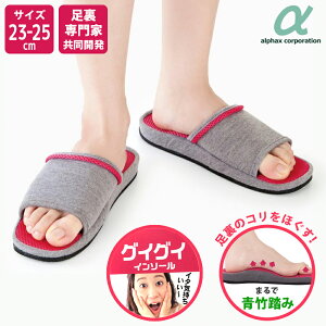 y16܂ |Cg10{zyyVLO1ʁz K ӂ݂ OCOCC\[ sN 23cm25cm fB[X N e NT_ si Rق  c{ ډ 