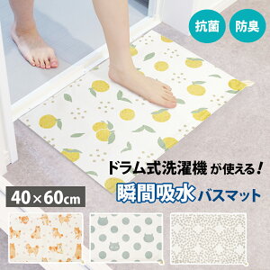 y101~31܂ Gg[Ń|Cgő10{zIJg[ h@guzoX}bg 40×60 􂦂 @Ή ȒP R hL  킢