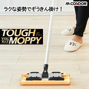 y112020`25܂ |Cgő10{zyyVLO1ʁz RY ^tbs[J|300 4903180178674 t[OCp[ |N[i[ Rۃ}CNt@Co[ |