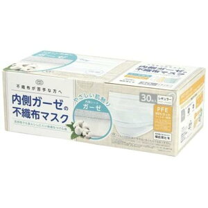 y101~31܂ Gg[Ń|Cgő10{zijxm K[[̕sDz}XNR30 WH M[TCY ב΍ ԕ΍ Ǒ΍ ɂ