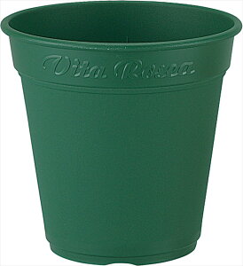 y112020`25܂ |Cgő10{zAbvEFA[ [A|bg240^ O[4905980144040 Vv Aؔ y [^