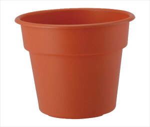 y101~31܂ Gg[Ń|Cgő10{zAbvEFA[ AP|bg5 eRb^ 4905980367135 Vv ͂Q Aؔ |