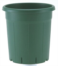 楽天市場 バラ 鉢 大の通販