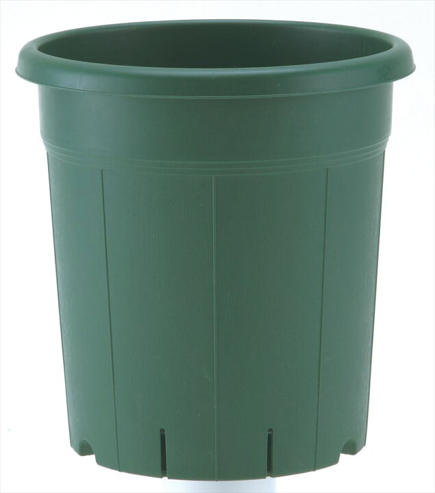 楽天市場 楽天スーパーセール 10 Off アップルウェアー バラ鉢8号gr 園芸用品 植え替え 大容量 趣味 けいけい