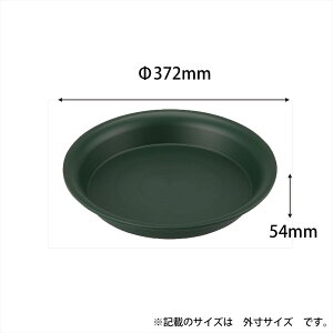 AbvEFA[ [AM380^ O[4905980411869 Vv [TCY łgpł |