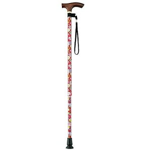 y114`5܂ Gg[Ń|Cgő10{z()}LebN X}CXebL Lk ԉԕ RF  s⏕ pi  