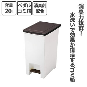 y101~31܂ Gg[Ń|Cgő10{zAXx ASVEL RhLGoy_ 20L    hL W t^ y_y[ L Lb`