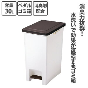 【10月1日~31日まで エントリーでポイント最大10倍】アスベル ASVEL R防臭エバンペダル 30L 分別 屑入れ くず入れ 防臭 蓋 フタ ペダルペール 消臭剤 キッチン