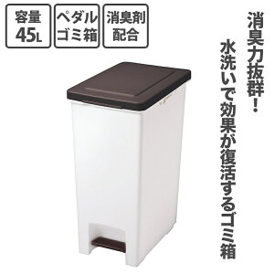 y101~31܂ Gg[Ń|Cgő10{zAXx ASVEL RhLGoy_ 45L    hL W t^ y_y[ L Lb`