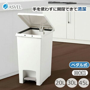 y101~31܂ Gg[Ń|Cgő10{zAXx Goy_y[ zCg 20L^30L^45L S~ ݔ _Xg{bNX y_ { Vv X^CbV