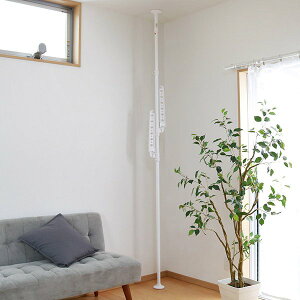 LH ^b`|[WH 4977612410823  ˂莮 nK[A[ ȒPtyԕisz