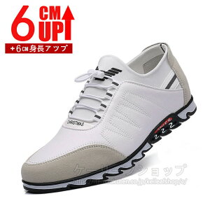 Cq[Xj[J[ JWA  gAbv6cm up6cm wȂ Y Xj[J[6cmgUP Cq[Xj[J[ JWA 6cmgUP 傫TCY Xj[J[ Cq[ 