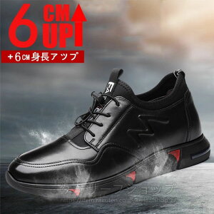 Cq[Xj[J[ JWA  gAbv6cm up6cm wȂ Y Xj[J[6cmgUP Cq[Xj[J[ JWA 6cmgUP 傫TCY Xj[J[ Cq[ 