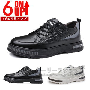 ̓Mtg 6cmgUP Xj[J[ Y JWA V[Y j̎qC H~ ʋC Cq[V[Y Xj[J[Y Cq[Xj[J[ JWA 傫TCY gAbv w