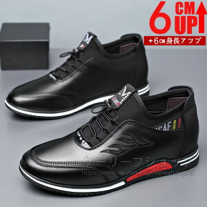 Cq[Xj[J[ JWA  gAbv6cm up6cm wȂ Y Xj[J[6cmgUP Cq[Xj[J[ JWA 6cmgUP 傫TCY Xj[J[ Cq[ 