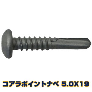 �R�A���|�C���g�@�i�x�r�X�@5.0X19�@500�{���i�����jX10���@�@�S�EH�|�������Ȃ��ŁA�Ԃ������I