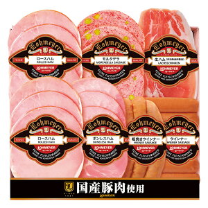 蕨 Mtg  ^yYz[}C@nEnE\[Z[W@101|599@i@i93j