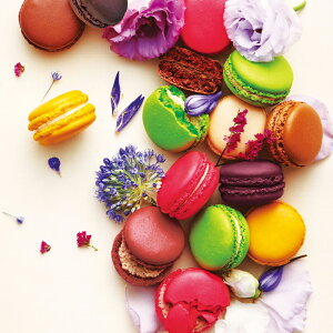 蕨 Mtg  ^yYz_C@G߂̃}J@14@25WMS30@i@i82j