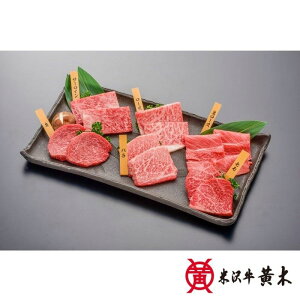 蕨 Mtg  ^yYzđ򋍏ēHה׃Zbg