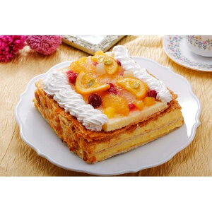 蕨 Mtg  ^yYzRuXvďC@t[c~tB[@DR-M2N