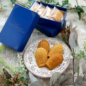 蕨 Mtg  ^yYzAEEJp[j@}h[k