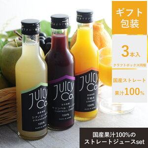 yMtgbsOz Y 100p[ZgW[X t[cW[X ʕ t[cMtg j zj oYj Xg[gW[X 蕨 Mtg v`Mtg ^Yʏ`100