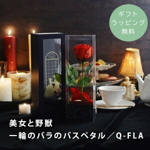 yMtgbsOzƖb o oXy^ Ɩb fBYj[ Disney o  zCgf[ fBYj[ ^Ɩb@ւ̃õoXy^