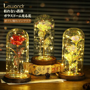 Lewondr ͂Ȃ  KXh[ KN ͂Ȃ o^C  v[g bL[Y LEDCgt  CeA zo/̓/LO/a/w//j/