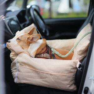 hCu{bNX ybgJ[V[g  L obO o q PETTENA R яoh~ ^ ofB[X 傫߃hCuxbh Jh[   V[g ybgphCuV[