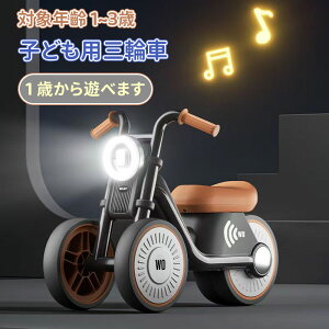 _10{|Cg^qpO֎ qǂpO֎ LbNoCN oXoCN LEDCgytV 蕨 xr[ oX pߋ Vv   킢 蕨 