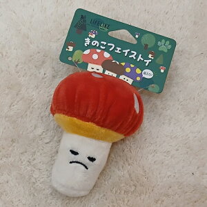 CtCN@̂tFCXgC@bh@yzyLpizyʂ݁z