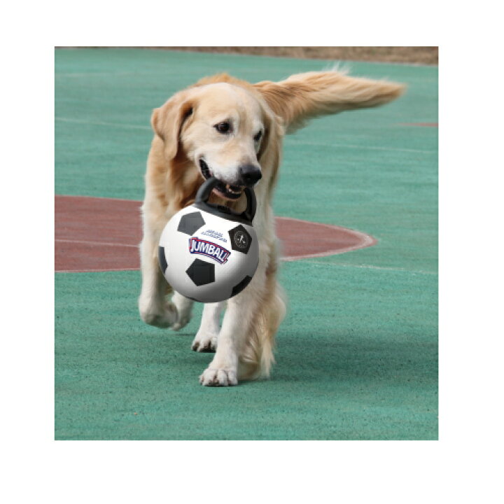 楽天市場 プラッツ Gigwi ジャンボール L サッカーボール 犬用品 大型犬用 ラバートーイ 犬の里ケイズドッグ楽天市場店
