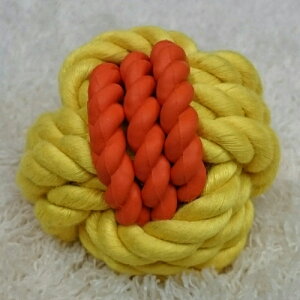 vbc o[cCXg{[@CG[@ypizy^pzy{[zy[vz