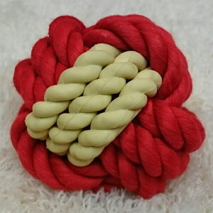 vbc o[cCXg{[@bh@ypizy^pzy{[zy[vz