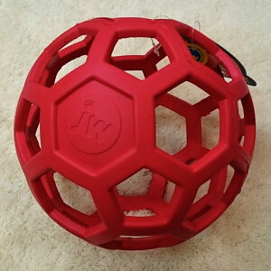 PLATZ@vbc@z[[[[{[@LTCY@bh@ypizy^pzŷz