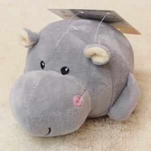 G[Xv_Nc@G[XgC@܂Aj}@Jo@yzyLpizyʂ݁z