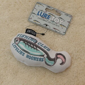 y݌ɌzCtCN@A[gC@ACXO[@yzypizyʂ݁z