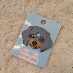 y󂠂菤izhbOL[Jo[@_bNXth@ubN^@ypizyL[Jo[zyAEgbgz