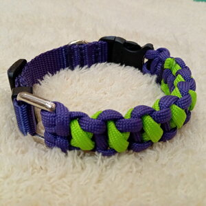 SOLGRA@oCJ[R[hJ[@O[@STCY@y^pzypizyցEJ[zyAEgbgzy݌ɏz